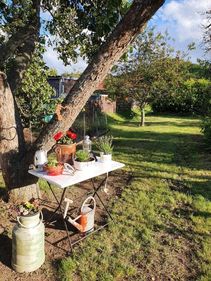 Ferienhaus "Am Staufenberg" بلانكنبرغ المظهر الخارجي الصورة