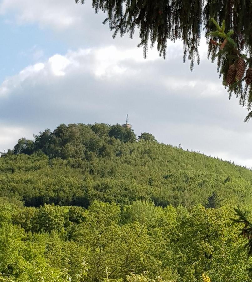 Ferienhaus "Am Staufenberg" بلانكنبرغ المظهر الخارجي الصورة