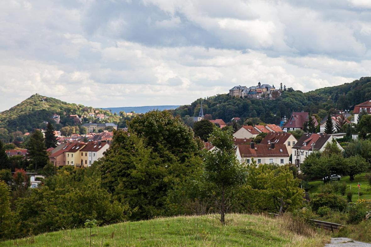 Ferienhaus "Am Staufenberg" بلانكنبرغ المظهر الخارجي الصورة