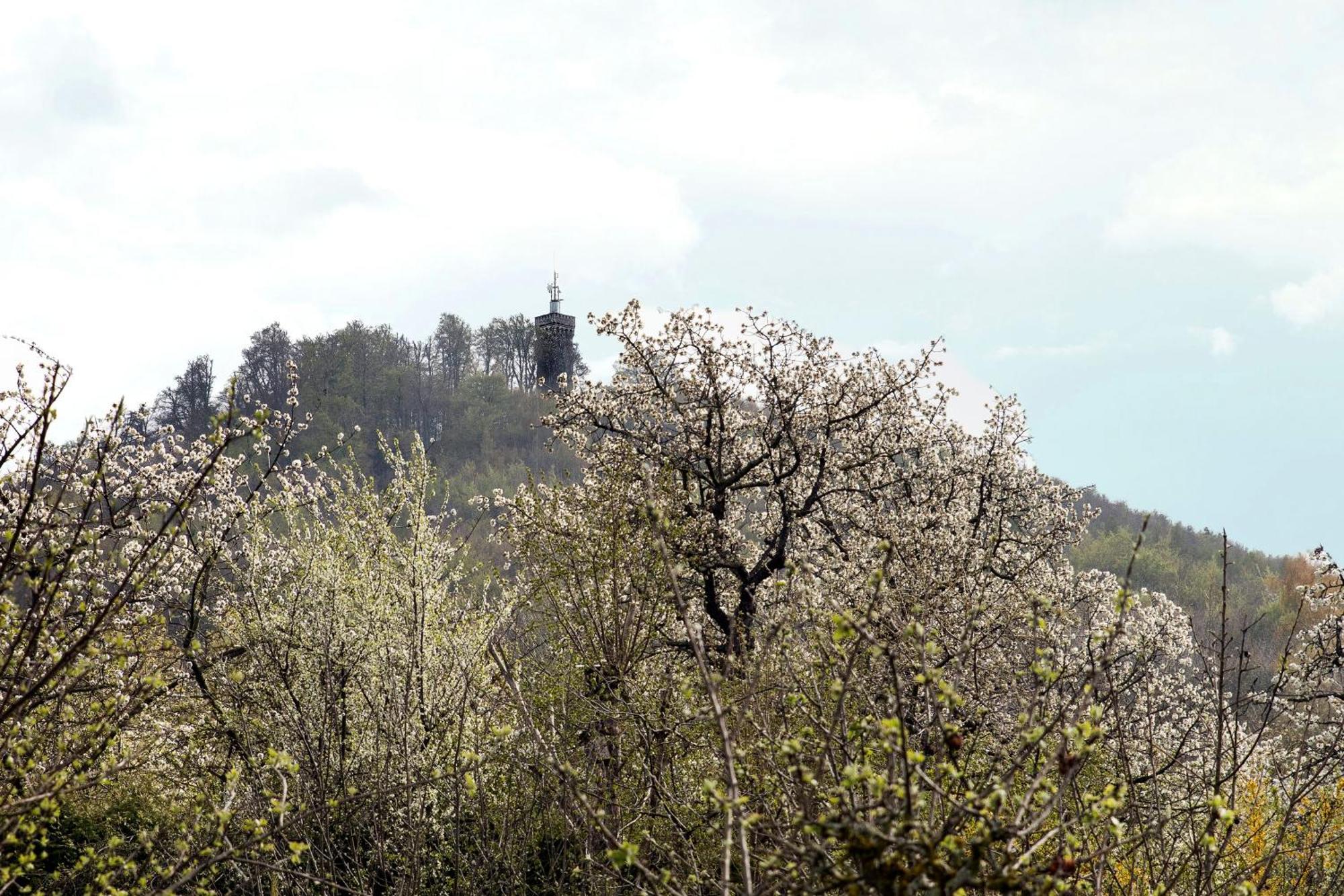Ferienhaus "Am Staufenberg" بلانكنبرغ المظهر الخارجي الصورة